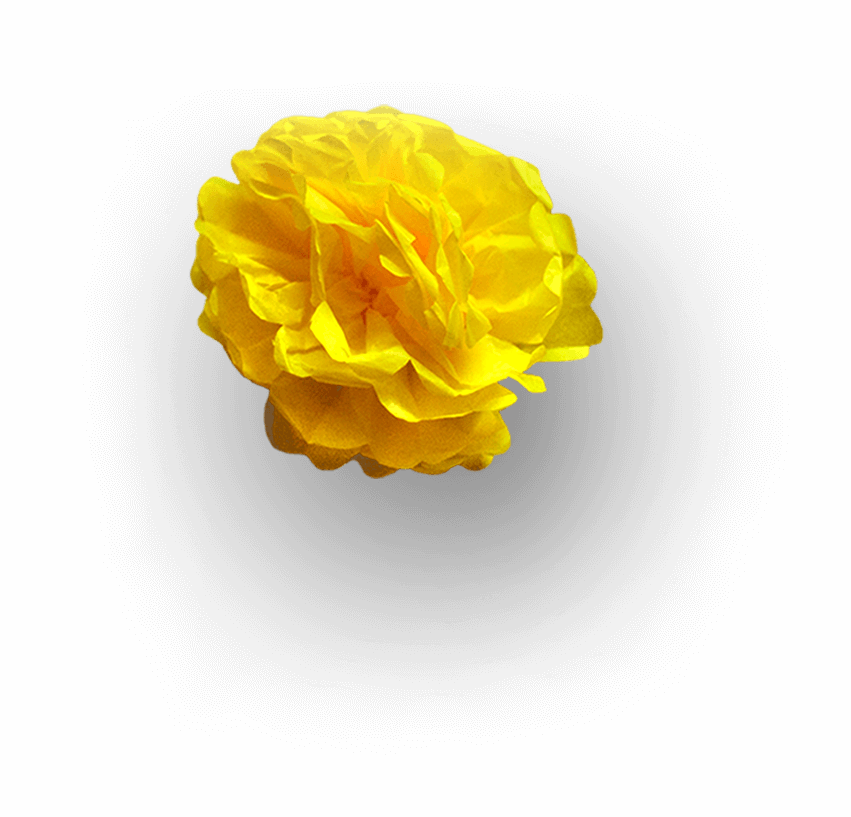 Flor Amarilla